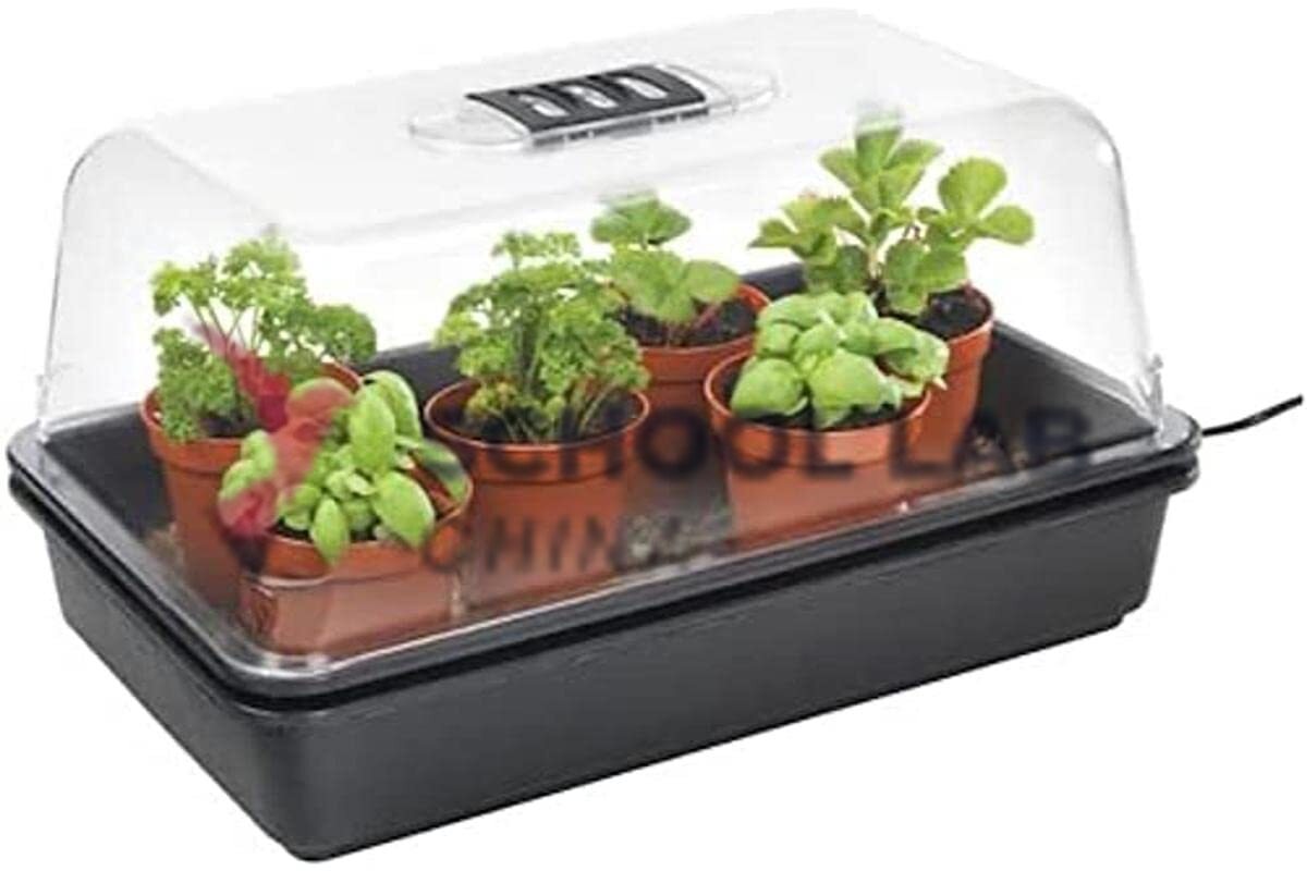 Unheated Propagator - 380mm
